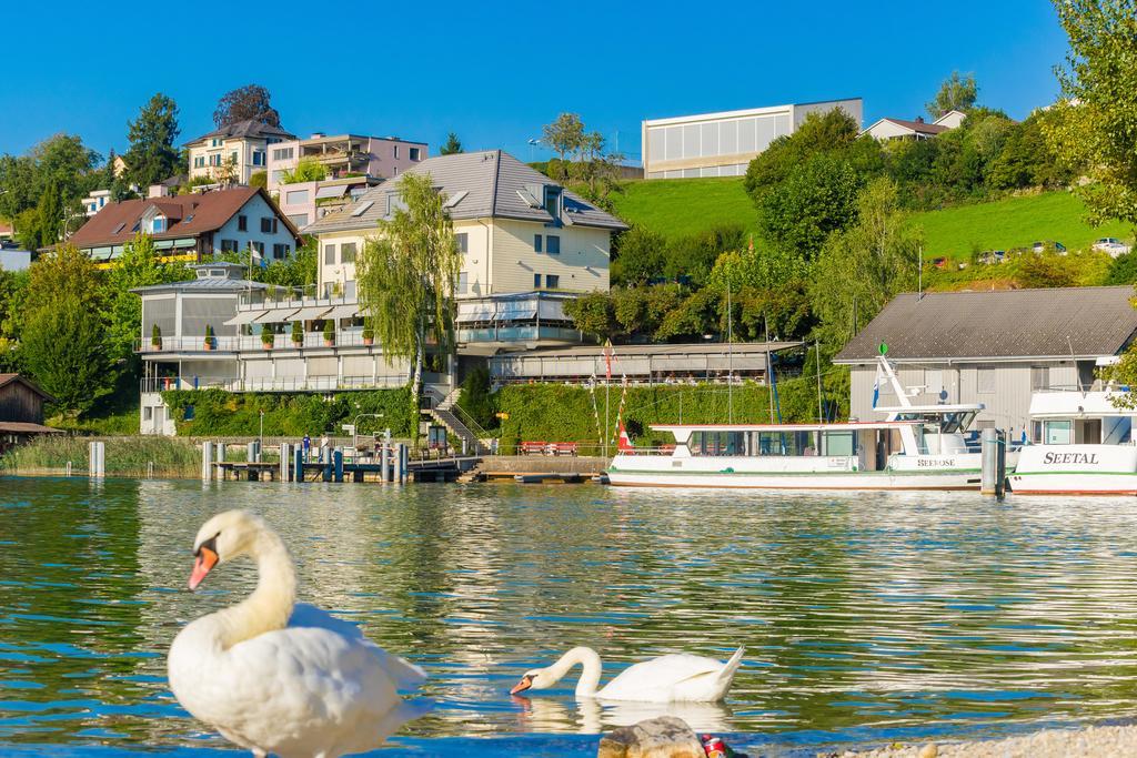 Seehotel Delphin Meisterschwanden Ngoại thất bức ảnh